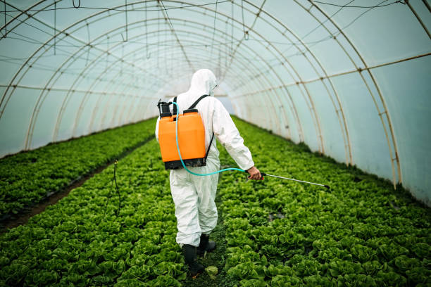 Best Residential Pest Control  in Orinda, CA