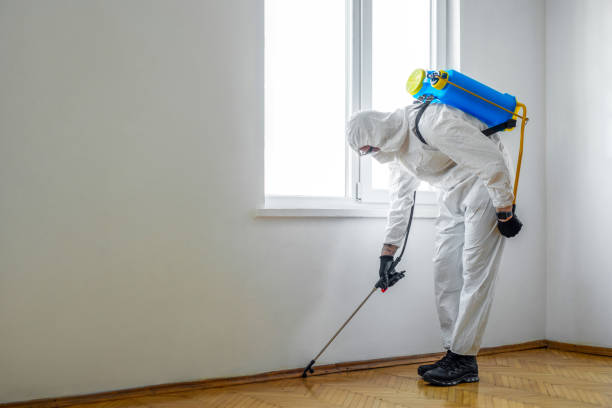 Best Wildlife Control Services  in Orinda, CA