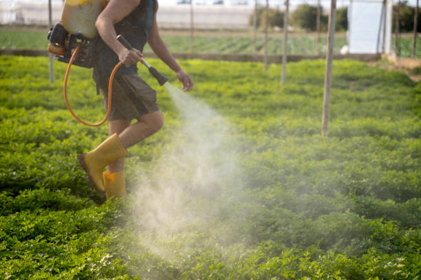Best Insect Control  in Orinda, CA
