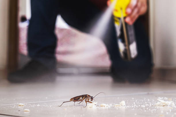 Best Pest Removal Services  in Orinda, CA