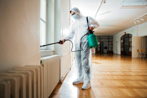 Best Affordable Pest Control Services  in Orinda, CA