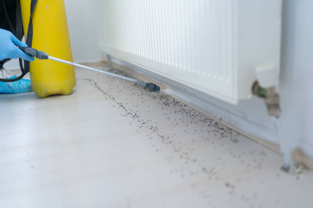 Best Bed Bug Extermination  in Orinda, CA