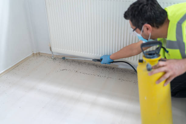 Best Commercial Pest Control Services  in Orinda, CA